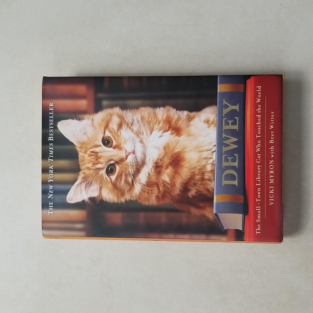 DEWEY Book about Small-Town Cat